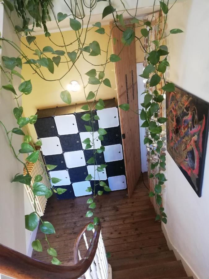 La Chambre D'Hote De Chris Cherbourg-en-Cotentin Buitenkant foto